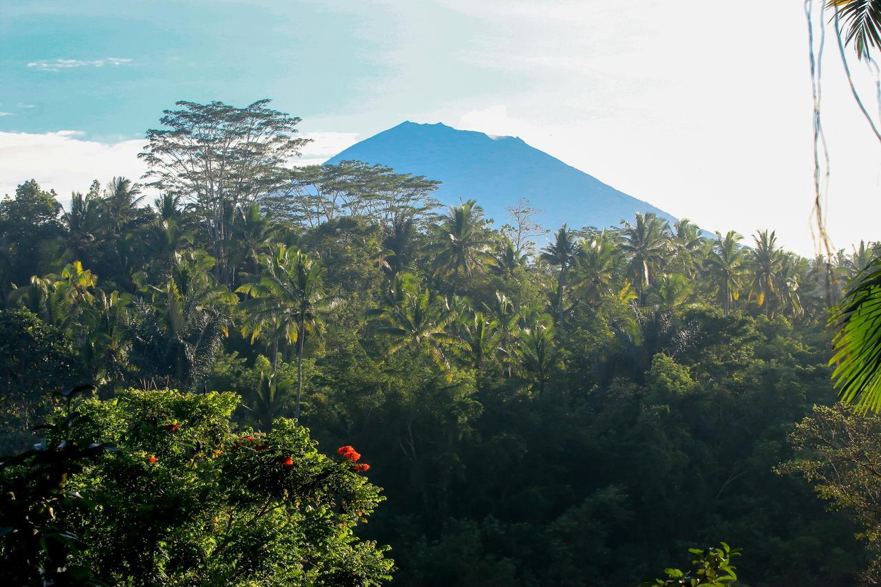 The Payogan Villa Resort And Spa Ubud  Luaran gambar